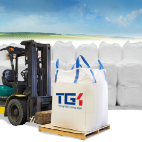 Làm thế nào để chọn nhà cung cấp bao jumbo tốt nhất cho nhu cầu kinh doanh của bạn?